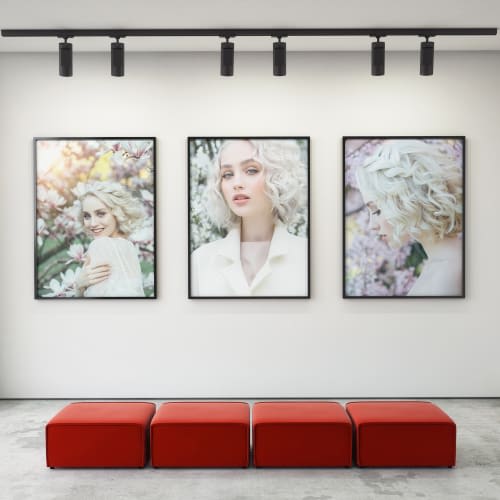 Posters